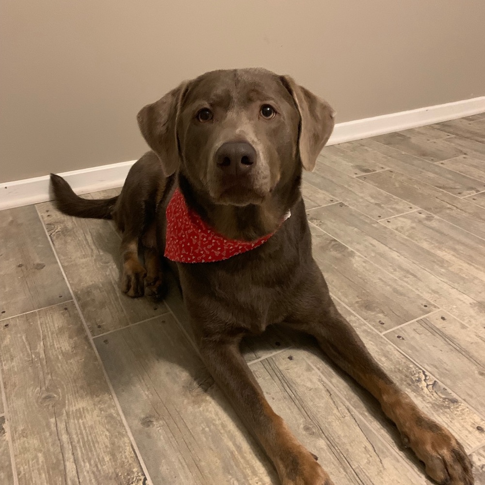 Meet your Posher, Glenna